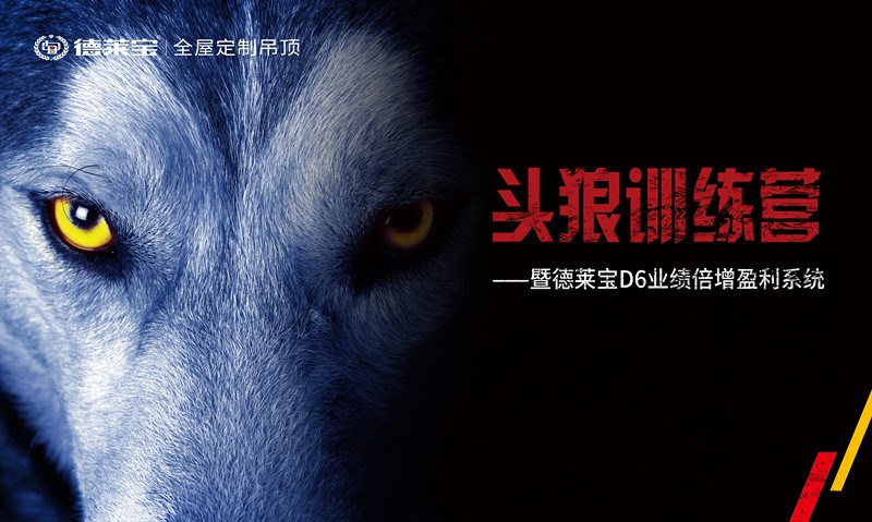 【頭狼訓練營】德萊寶商學院第22期培訓會，圓滿落幕！